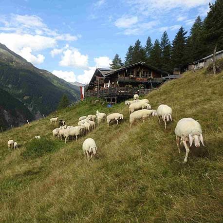 Sommerurlaub in Neustift im Stubaital